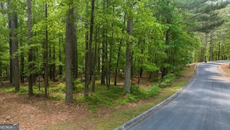 0 Golden Delicious Unit 10520461, Clarkesville, GA 30523