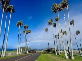 56-2891 Haleakala View Place, Hawi, HI 96719