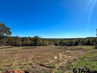 tbd Cr 314, Henderson, TX 75652