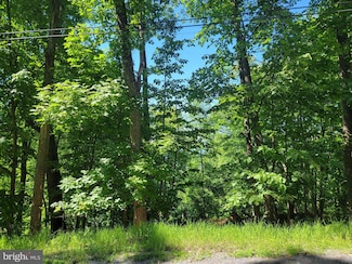 Lot 38 F Windy Way, Front Royal, VA 22630