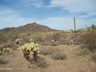 29980 W Restin Rd Unit 146, Unincorporated County, AZ 85361
