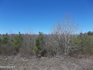 Lot #2 Boat Ramp Rd, New Hope, NC 27944