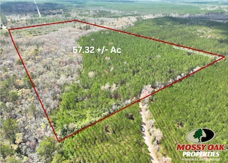 0 Caney Bay Rd, Hoboken, GA 31553