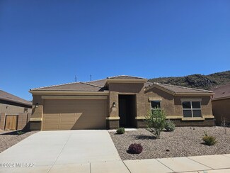 10134 Black Dalea Dr, Marana, AZ 85653