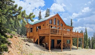 207 Pine Cone Way, Fair Play, CO 80440