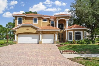 12918 Eagles Entry Dr, Odessa, FL 33556