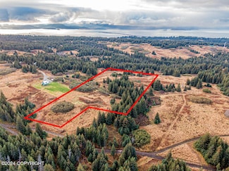 61291 Crossman Ridge Rd, Homer, AK 99603