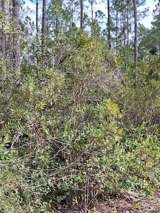 0 E Escambia St, Palatka, FL 32177