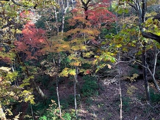 Lot 43 A+B Gray Rock View, Pikeville, TN 37367