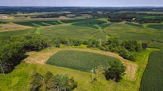 TBD E Krohmer Rd, Woodbine Township, IL 61028