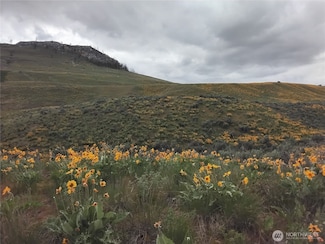 0 Lower White Rock Rd Unit NWM2370158, Oroville, WA 98844
