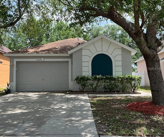 5000 Anclote River St, Wesley Chapel, FL 33545
