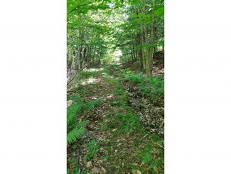 62 Stevens Rd, Hanover, NH 03755