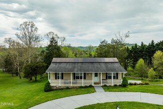241 E Ridges Dr, Chuckey, TN 37641