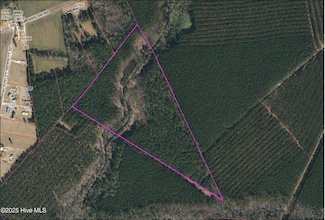 0 Shiloh Rd, Willard, NC 28478