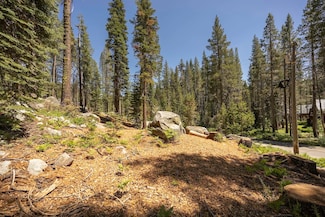 21864 Lotta Crabtree, Soda Springs, CA 95728