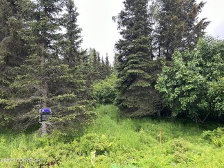 63645 Noel Ct, Ninilchik, AK 99639