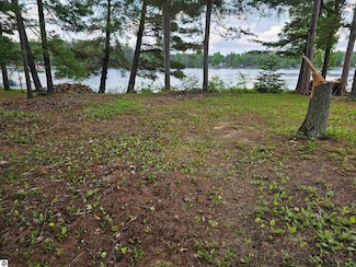 lot 12 Paradise Dr Unit 12, Plainfield Township, MI 48761