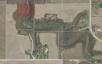TBD Quiet Way, Vasa Township, MN 55089