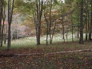 60132 Siverly Creek Rd, McArthur, OH 45651