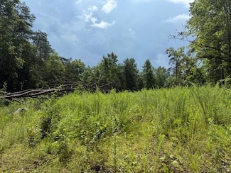 0000 Highway 1569, Wellington, KY 40387