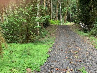 0 18th St NW Unit 1807819, Lakebay, WA 98349