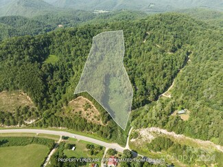 9999 Plumtree Holler, Hot Springs, NC 28743