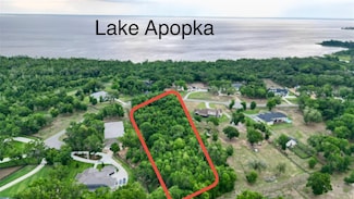 0 Wolf Springs Ct, Clermont, FL 34715