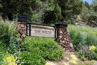 760 Promontory Ln Unit 37, Basalt, CO 81621