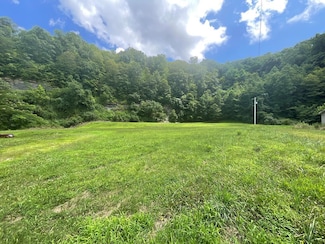0000 Raccoon Rd, Raccoon, KY 41557