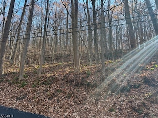 120 Millbrook Rd, Franklin Township, NJ 07882