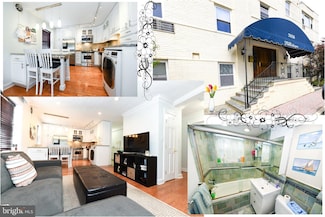 7036 Strathmore St Unit 211, Chevy Chase, MD 20815