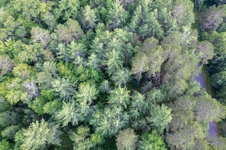 Lot 4 Dad's Lake Rd, Eagle River, WI 54521