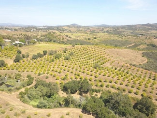 9153 W Lilac Rd, Escondido, CA 92026