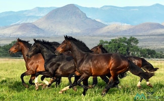 742 Hwy 408 Pembroke Rd, Lemitar, NM 87823