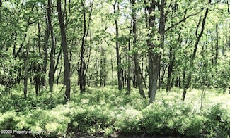 MVII 227 Stoney Mountain Dr, Hazle Township, PA 18202