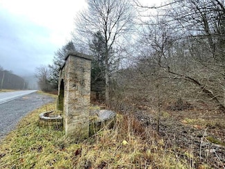 36828 Seneca Trail, Slaty Fork, WV 26291