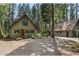 55482 Delta Rd, Blue River, OR 97413