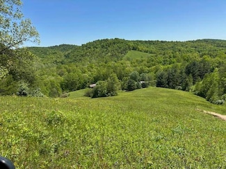 3076 Sheepskin Rd, Sandy Hook, KY 41149