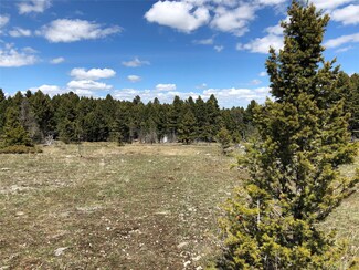 TBD Arrowood Estates Rd, Raynesford, MT 59469