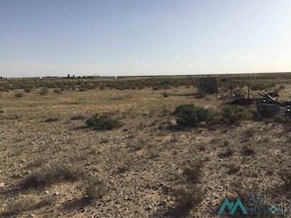 42 Colbert Ave, Artesia, NM 88210