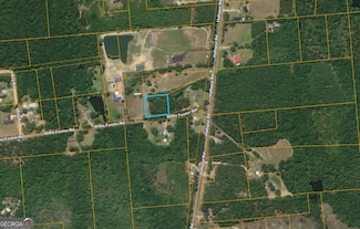 0 Willie Foster Rd Unit 10637076, Hazlehurst, GA 31539