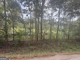 0 Hodges Farm Rd Unit 10621775, Mansfield, GA 30055