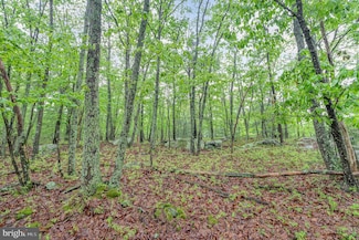 55 Scarlet Way, Biglerville, PA 17307