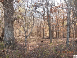 Lot 14 Woodfield Estates Dr, Cadiz, KY 42211