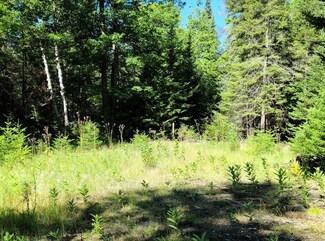 825 Sioux Ave, Bois Blanc, MI 49775
