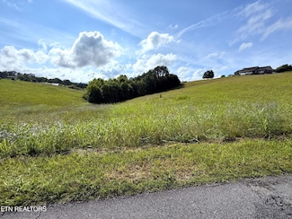 Lots 17-18 English Mtn Rd, Newport, TN 37821