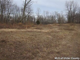 TBD Langridge Rd, Clermont, NY 12583