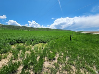 6600 N Highway 34 Unit 3, Preston, ID 83263