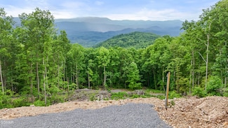 1038 Clingmans View, Sevierville, TN 37876